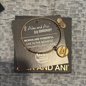 Alex and Ani Gold Bangle Bracelet